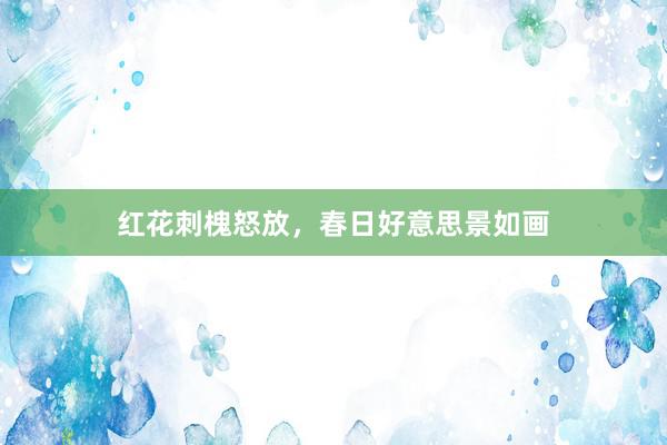 红花刺槐怒放，春日好意思景如画