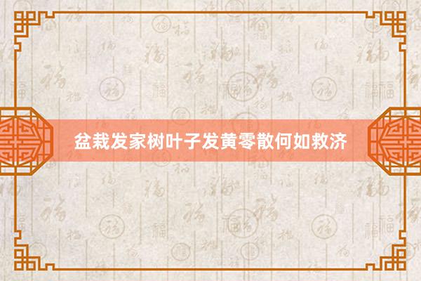 盆栽发家树叶子发黄零散何如救济