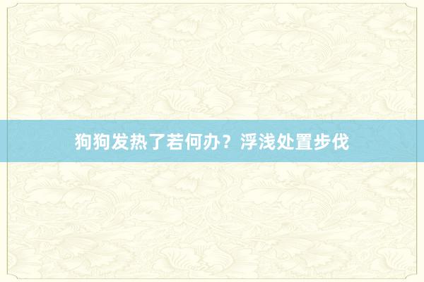 狗狗发热了若何办？浮浅处置步伐