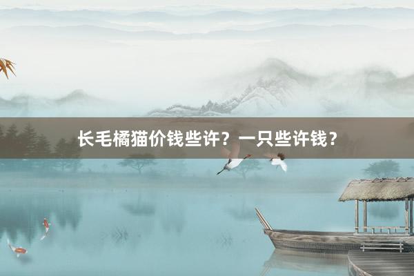 长毛橘猫价钱些许？一只些许钱？